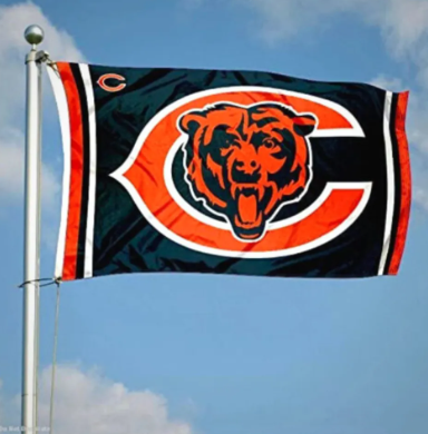 The Problem With The Chicago Bears…